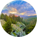 Erin Burns profile picture